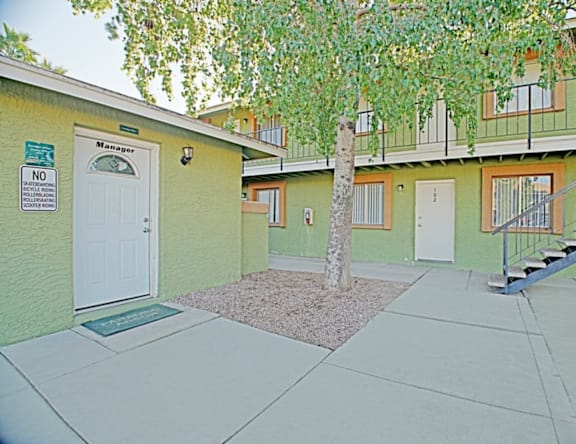 A tree in front of a green building with a white door.