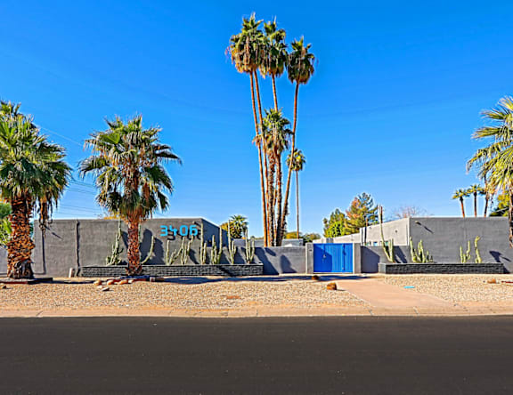 Palm trees and a blue container are in the desert.