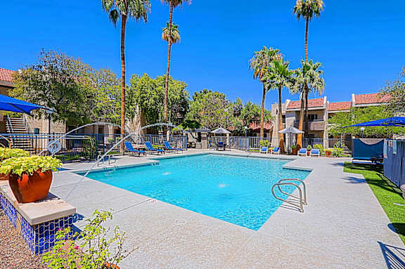A swimming pool surrounded by palm trees and lounge chairs.