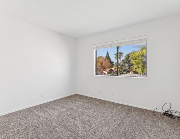 A room with a carpeted floor and a window showing a view of trees and houses.