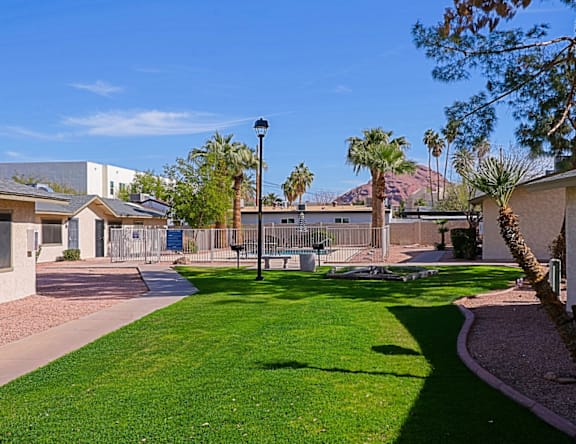 A sunny day in a residential area with houses, trees, and a streetlight.