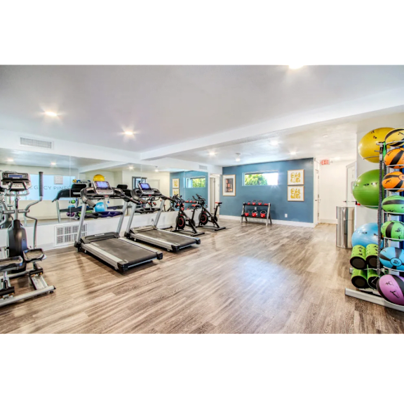 A gym with treadmills, exercise bikes, and a rack of exercise balls.