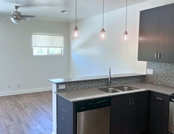 A kitchen with a dishwasher and a sink.
