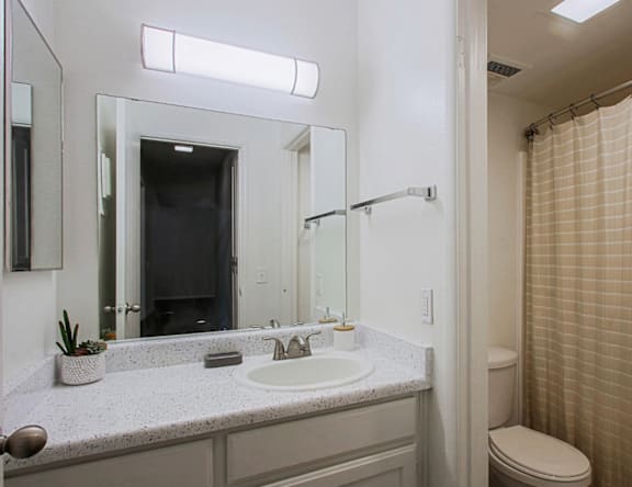 A bathroom with a sink, mirror, and toilet.