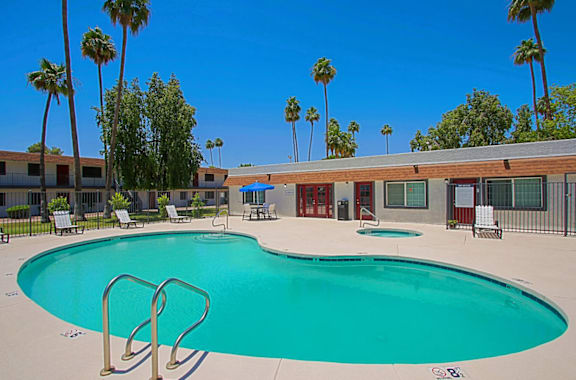 A large swimming pool surrounded by palm trees and lounge chairs at Aspire Mesa in Mesa, AZ