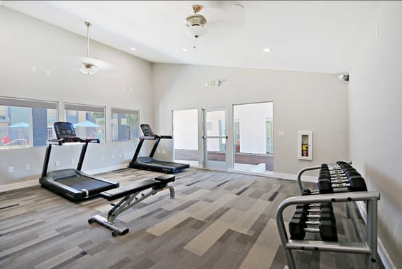 Cardio Equipment in a Carpeted Fitness Room with Free Weights at Summers Point in Glendale, 85301