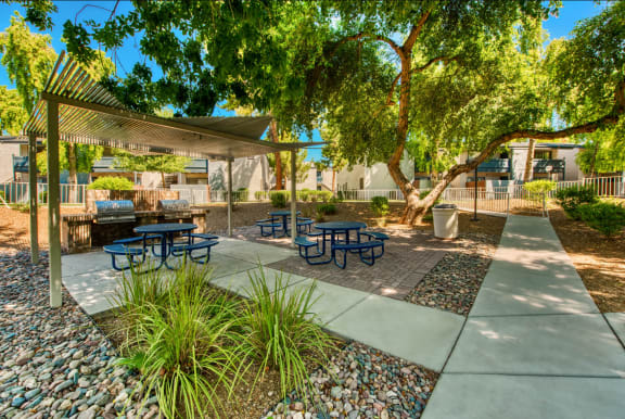 Picnic area with benches and tables under a tree canopy at Connect on Northern in Glendale, AZ 85301