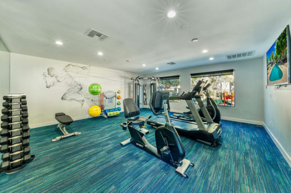 Gym with blue and green carpet, treadmills, and other exercise equipment at Connect on Northern in Glendale, Arizona 85301