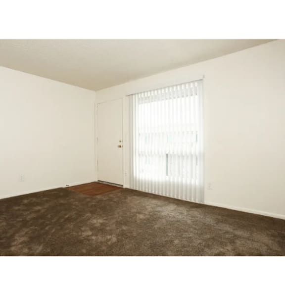 A room with a carpeted floor and a window with blinds.