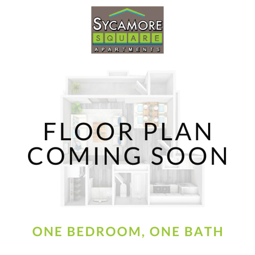 Coming Soon Layout at Sycamore Square Apartments, Mesa, AZ, 85202