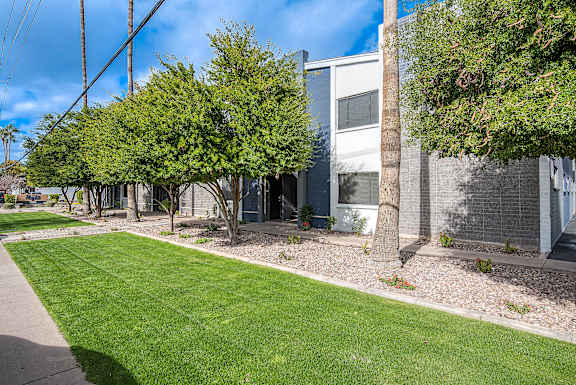 A tree in front of a grey house.