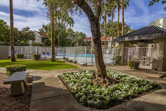 A tree in a flower bed in front of a pool and a house.