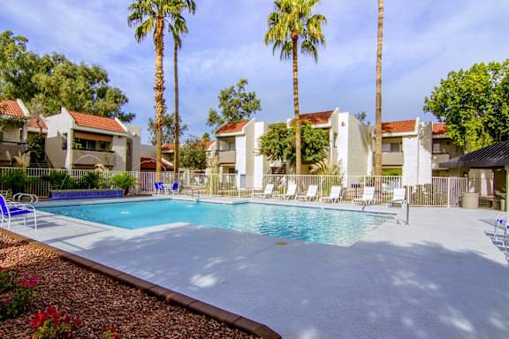 A pool surrounded by palm trees and chairs.
