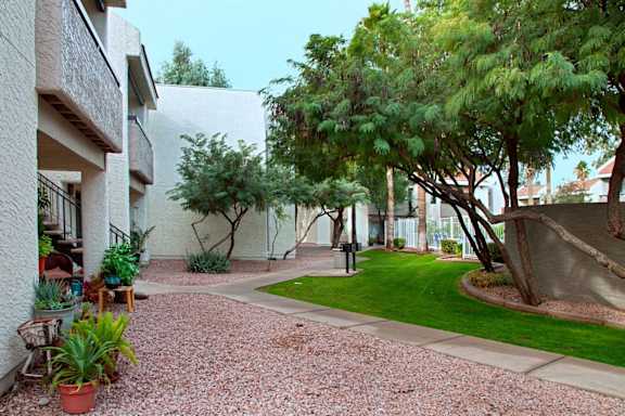 A courtyard with a gravel path and a grassy area with a tree.