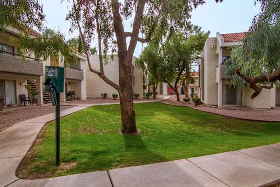 A tree in a courtyard with a sign on a pole.