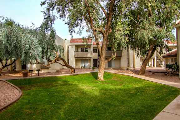 A tree in a grassy area in front of a building.