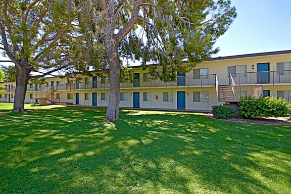 our apartments have a spacious yard with trees and green grass