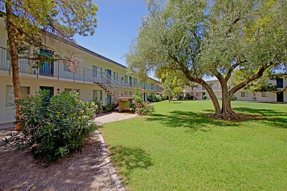 the courtyard of a building with a lawn and trees