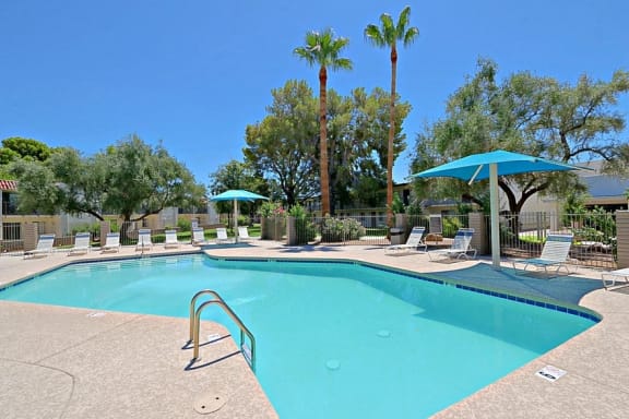 a swimming pool with chairs and umbrellas and trees