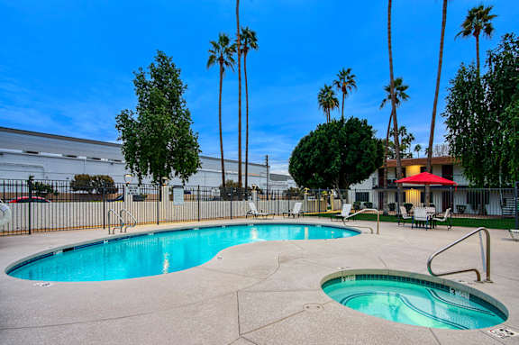 A swimming pool surrounded by palm trees and a red awning.