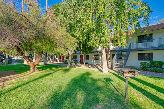 A sunny day at a residential area with a house and a tree in the foreground.