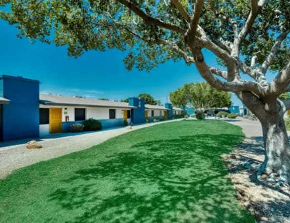 A tree with a blue building in the background.