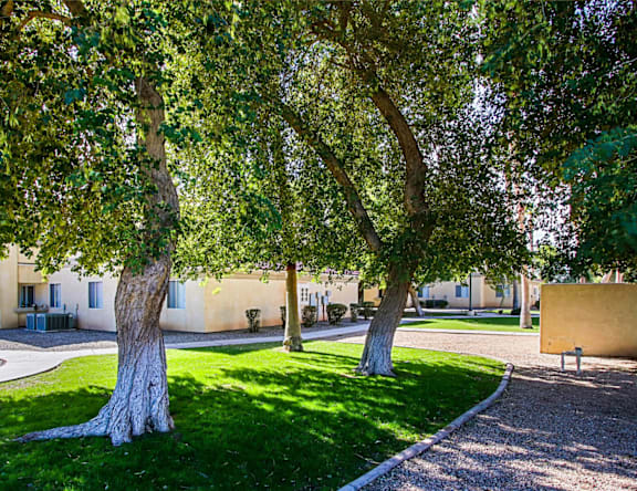 A tree in a grassy area with a building in the background.