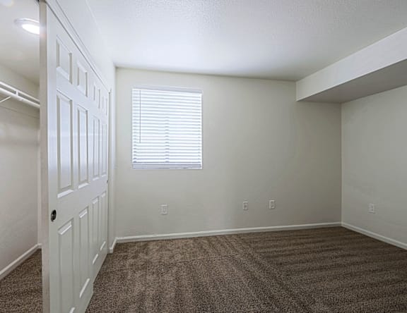 A room with a carpeted floor, a door, and a window with blinds.