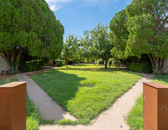 Shared outdoor space at Pomelo Park.