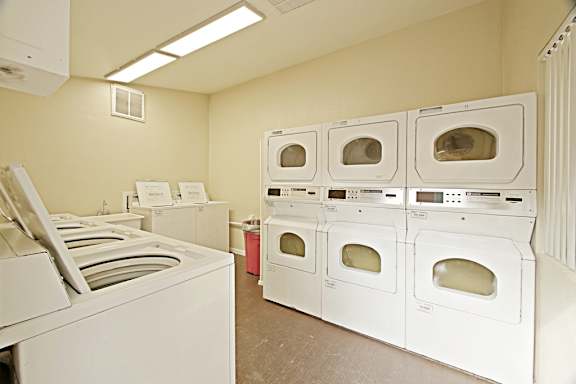 A row of white ovens are lined up in a room.