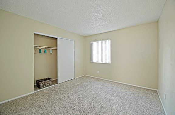 A room with a carpeted floor, a white closet with a door and a window with blinds.