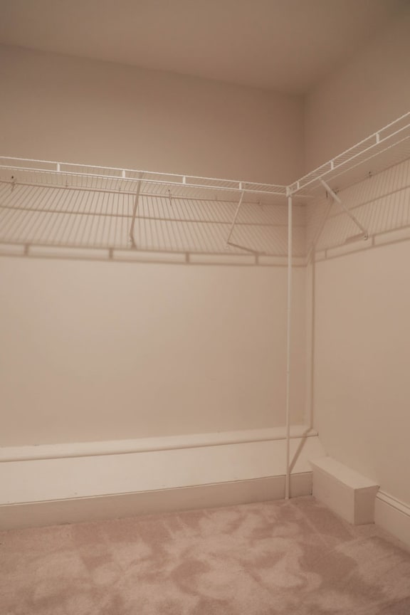Large Closet at Ingram Manor Apartments, Pikesville, MD