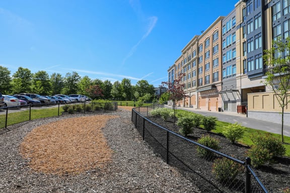 Dog Park at Metro Crossing Apartments, Maryland