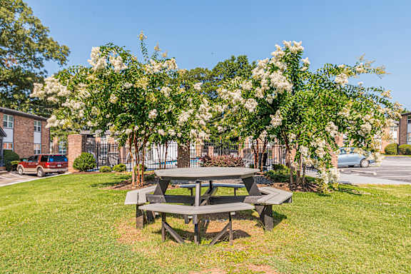 A picnic table is surrounded by trees with white flowers.