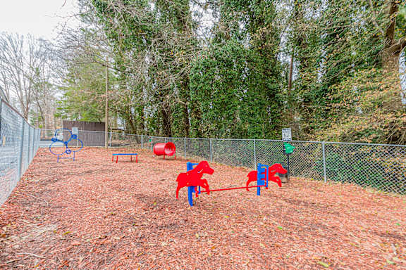Pet park view at Balfour Chastain, Sandy Springs, GA