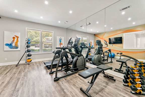A well-equipped gym with a variety of exercise machines and a large mirror on the wall at Balfour East Lake Apartments, Atlanta, New York