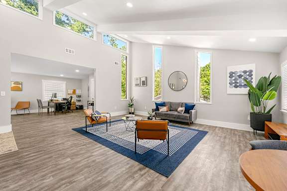 A living room with a grey couch and a blue rug.