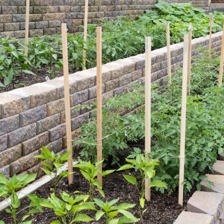 Garden at Pinewood Townhomes, Tucker