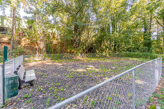 A fenced area with a bench and a trash can.