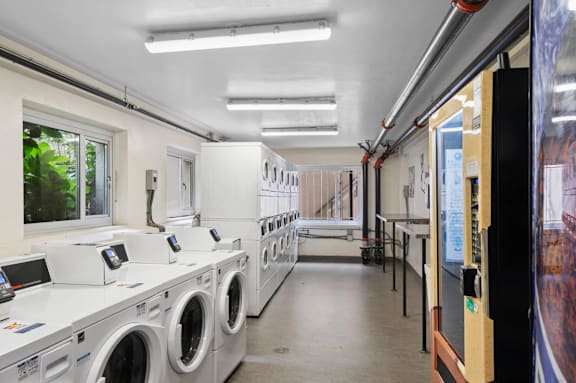 A row of washing machines are lined up in a laundromat.