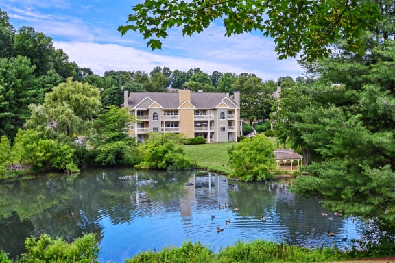 building and gazebo overlooking the pond with ducks at Madison Glen Mills, Pennsylvania