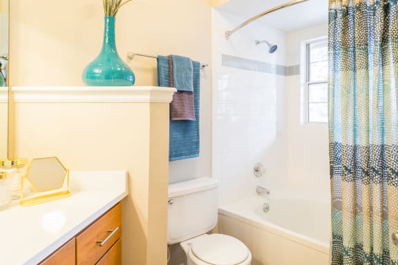 Oversized soaking tub and bathroom at The Bluffs at Highlands Ranch, Highlands Ranch, 80129