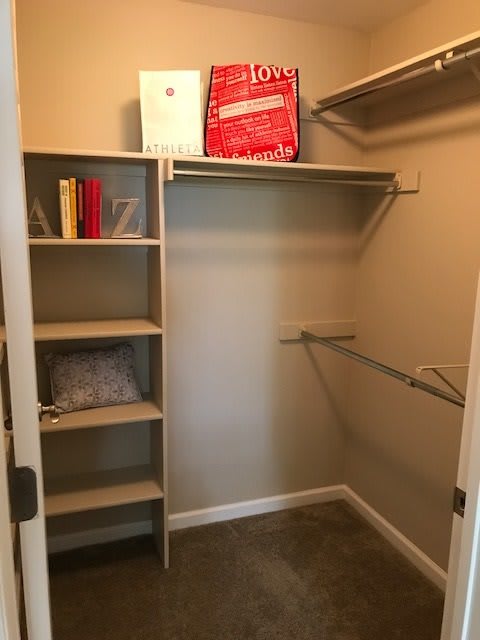 Large Closets at The Bluffs at Highlands Ranch, Colorado, 80129