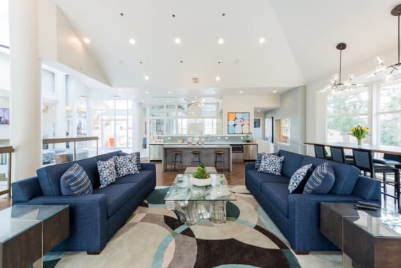 Posh Lounge Area In Clubhouse at The Bluffs at Highlands Ranch, Highlands Ranch