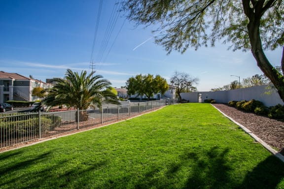 Octave Pet Friendly Apartments in Las Vegas, Nevada Dog Park