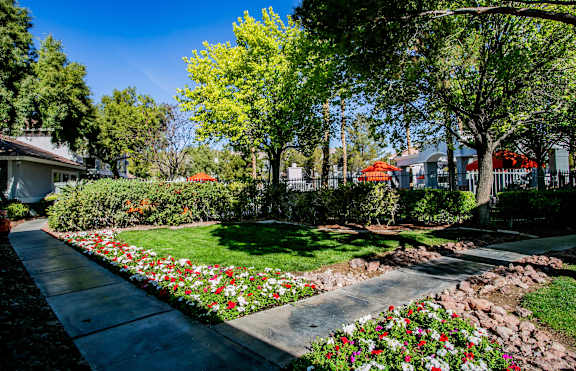 A garden with a variety of flowers and trees. at Octave Apartments, Las Vegas, Nevada