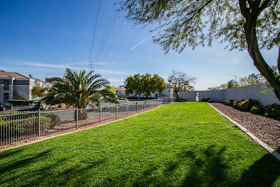 Paw Park at Octave Apartments, Las Vegas, NV