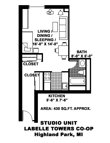 A floor plan of a studio unit with a living area, kitchen, and bathroom.
