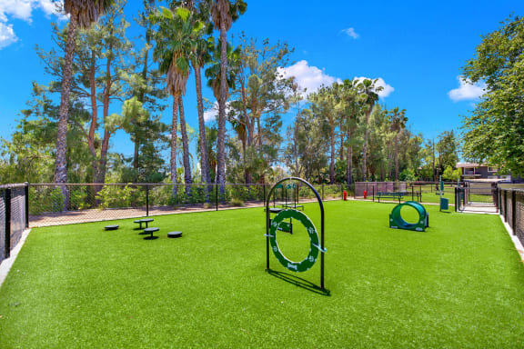 a park with agility equipment on the grass at Monterra Ridge Apartments, California,91351