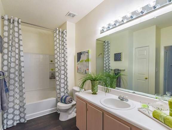 a bathroom with a sink and a toilet and a mirror